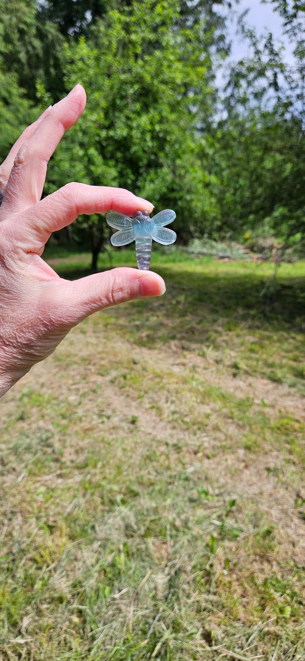 Rainbow Fluorite Dragonfly