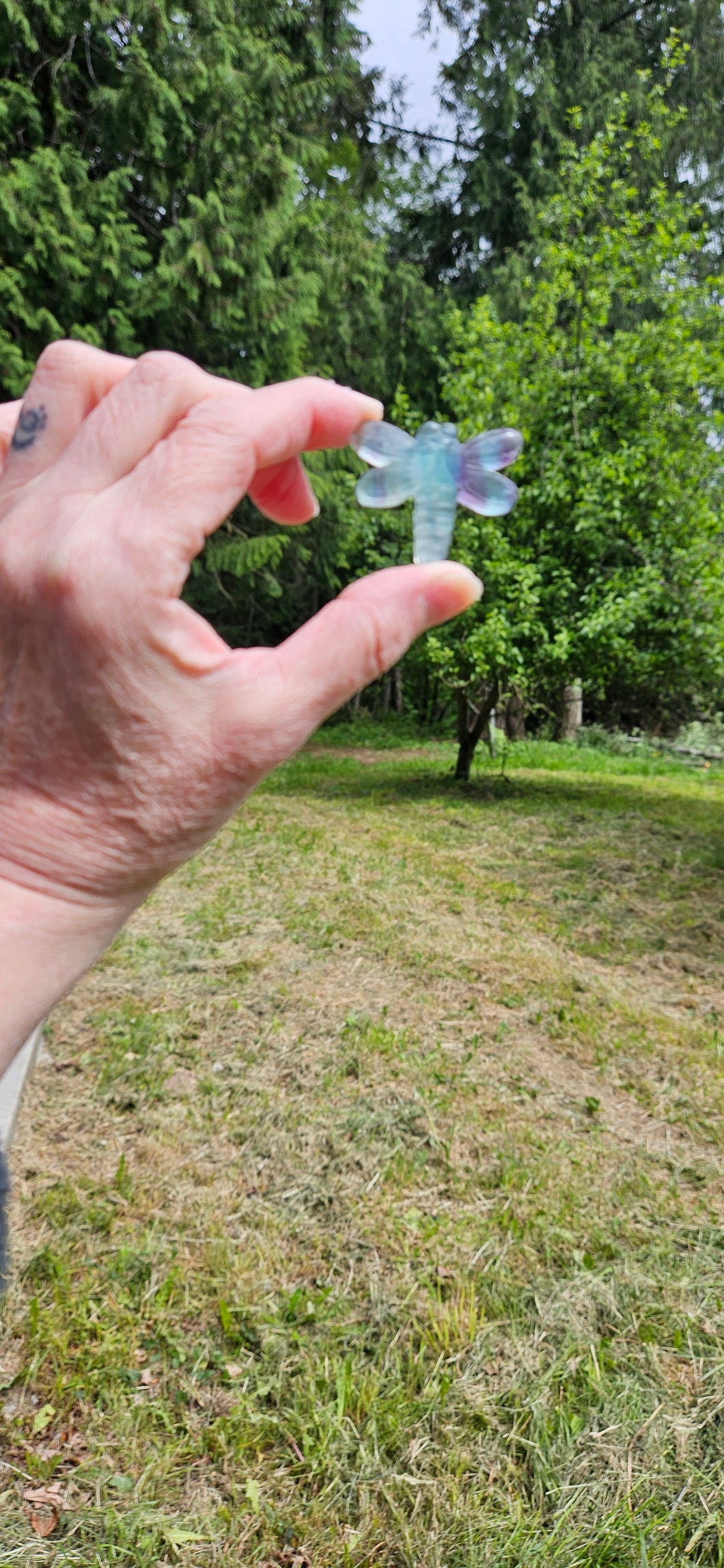 Rainbow Fluorite Dragonfly