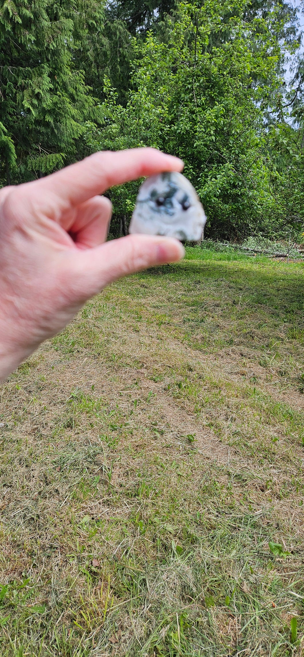 Moss Agate Rock Buddy