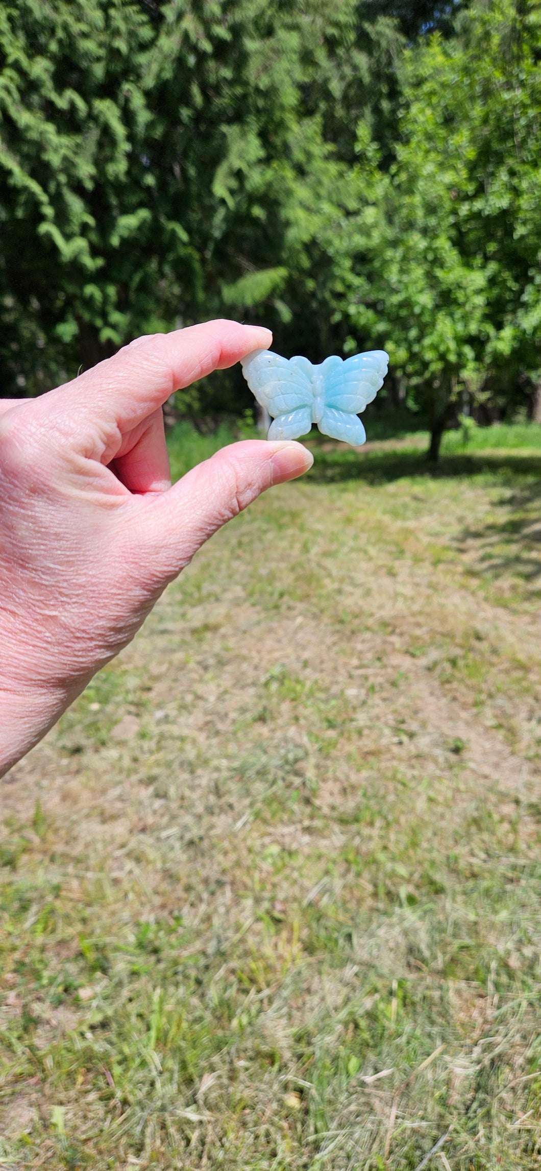 Caribbean Calcite Butterfly