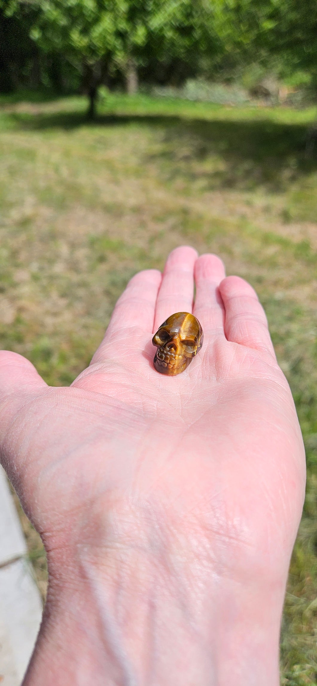 Tiger Eye Mini Skull