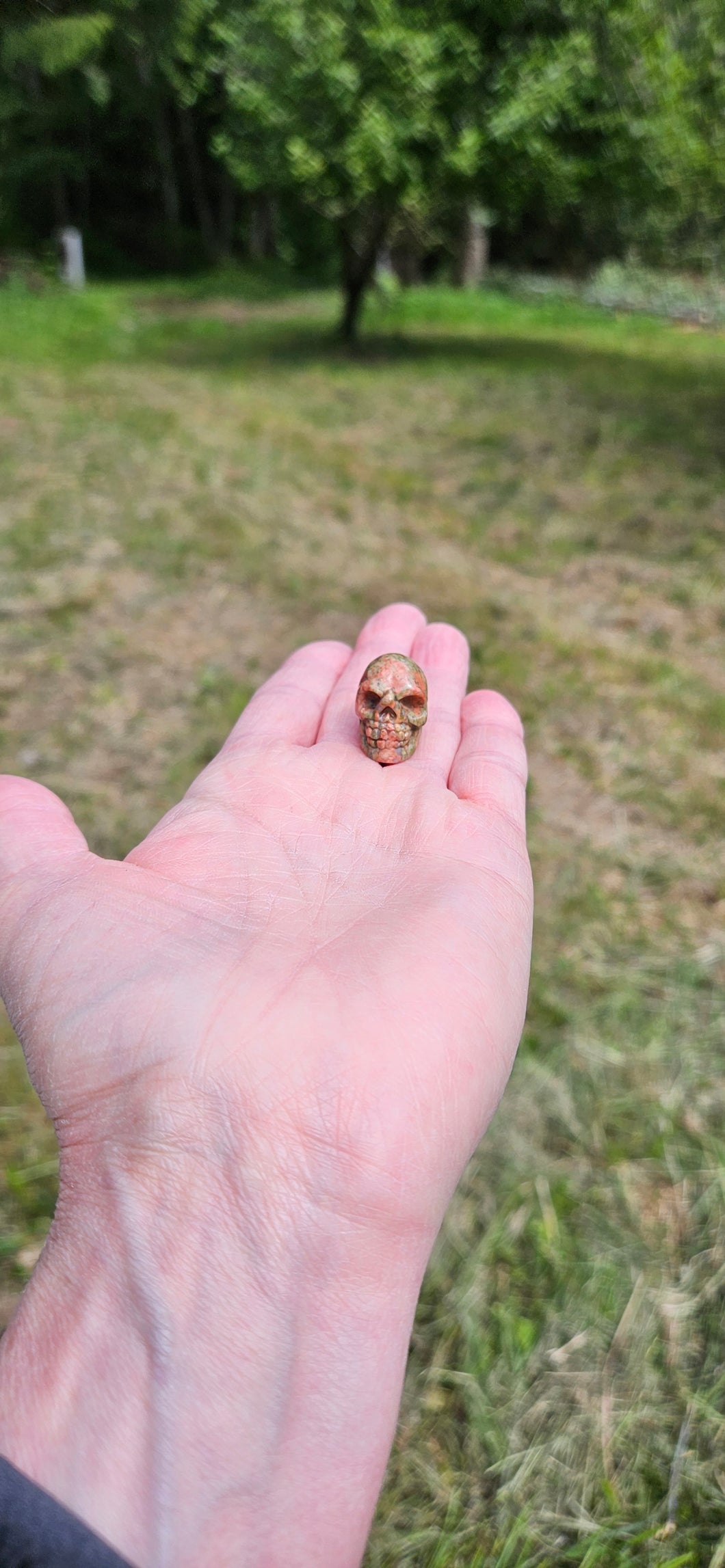 Unakite Mini Skull