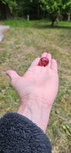 Load image into Gallery viewer, Red Jasper Mini Skull
