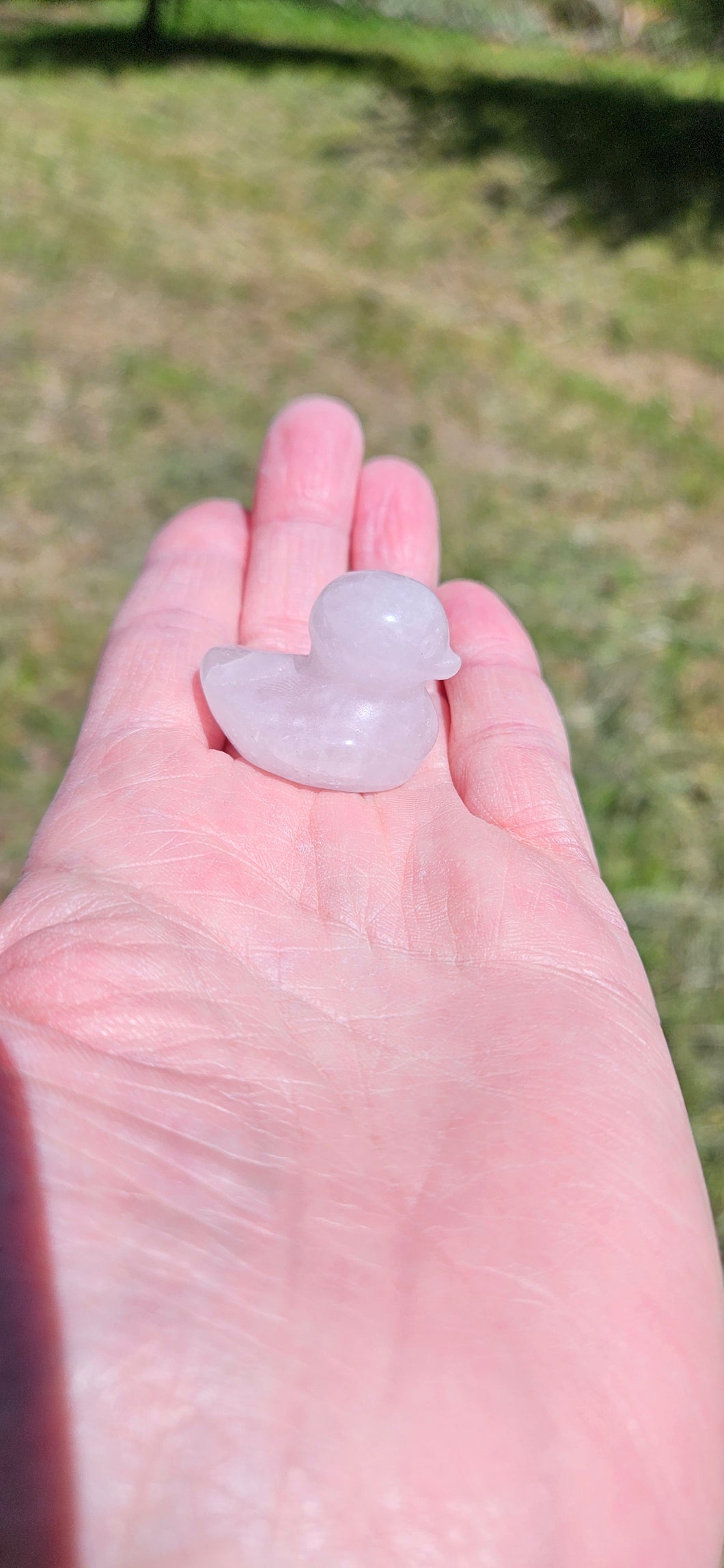 Rose Quartz Duck