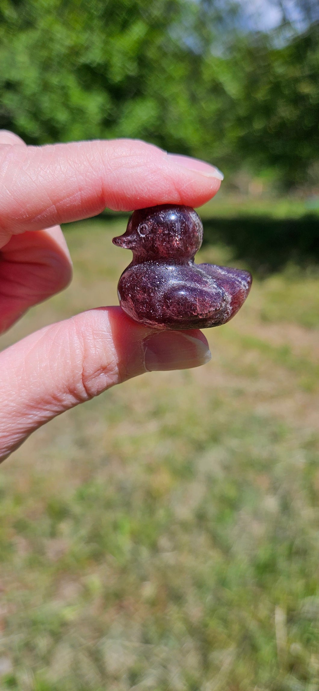 Strawberry Quartz Duck