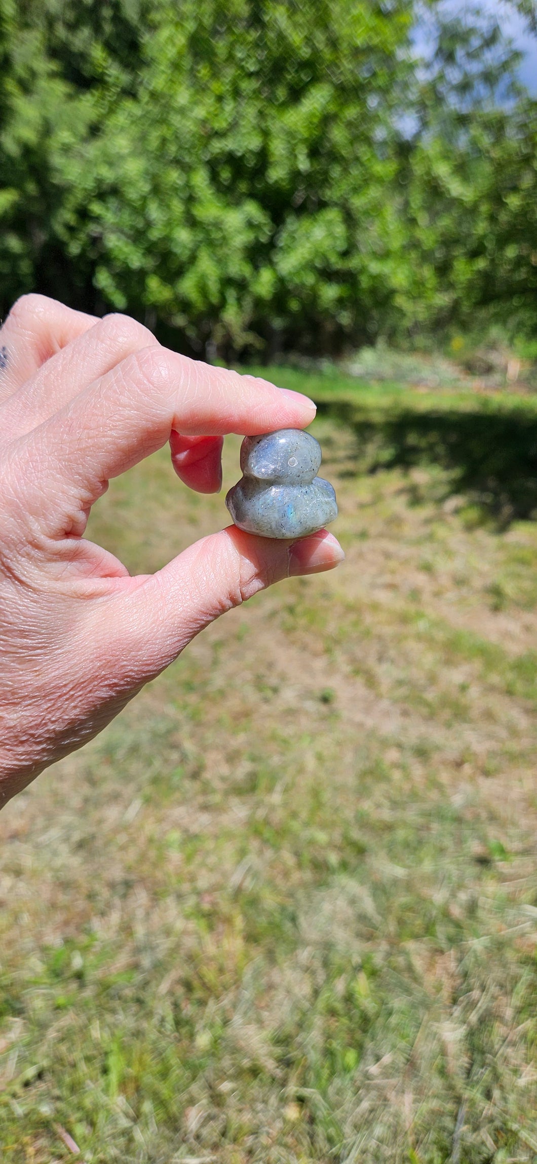 Labradorite Duck