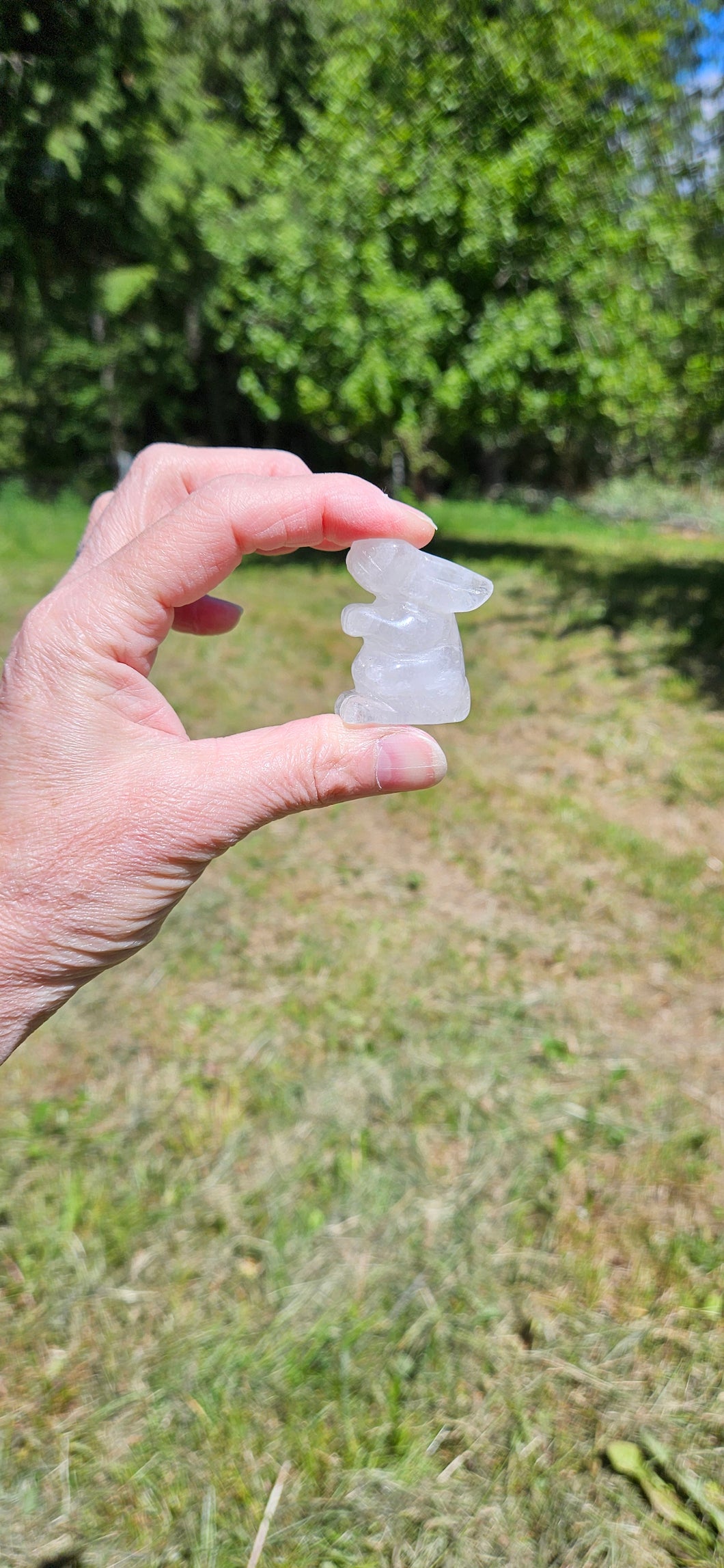 Clear Quartz Rabbit