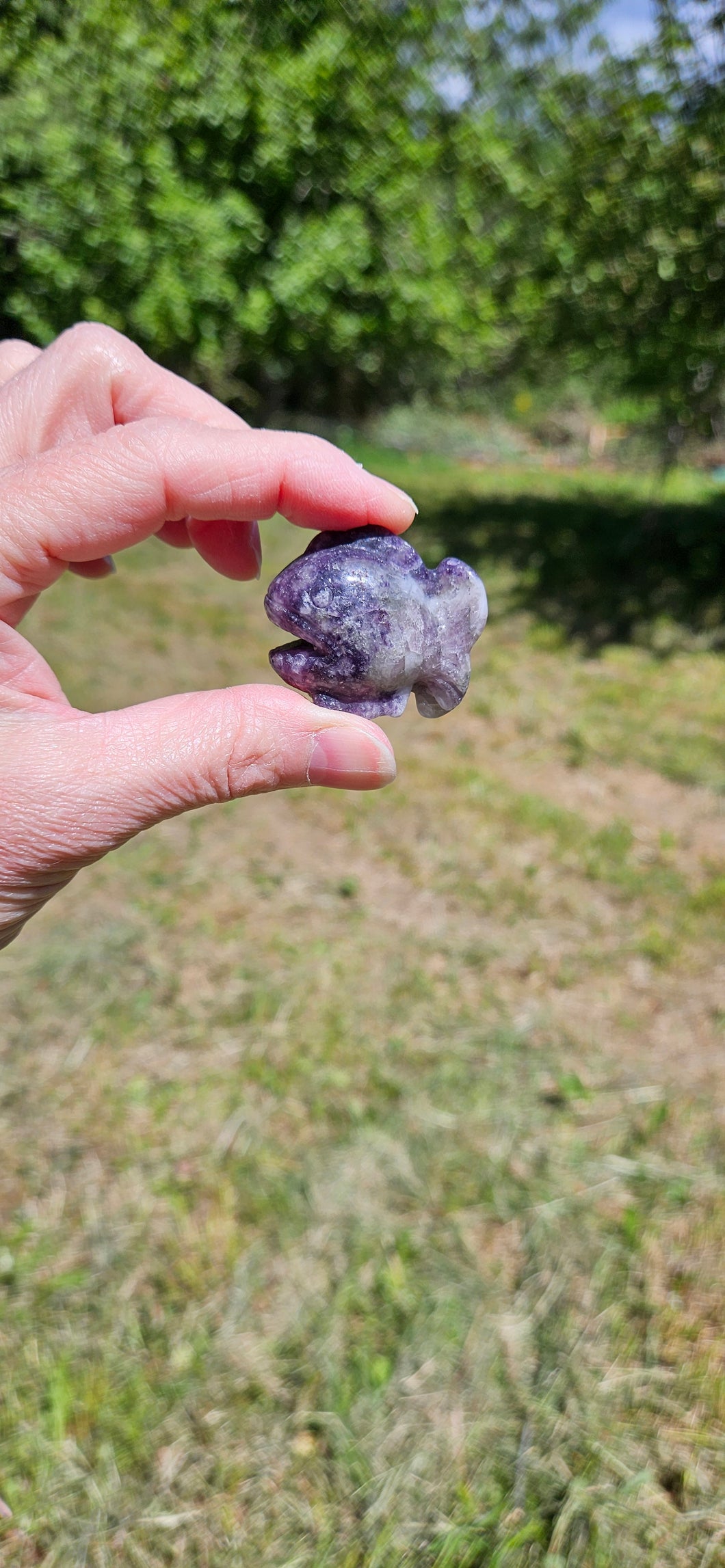 Lepidolite Fish