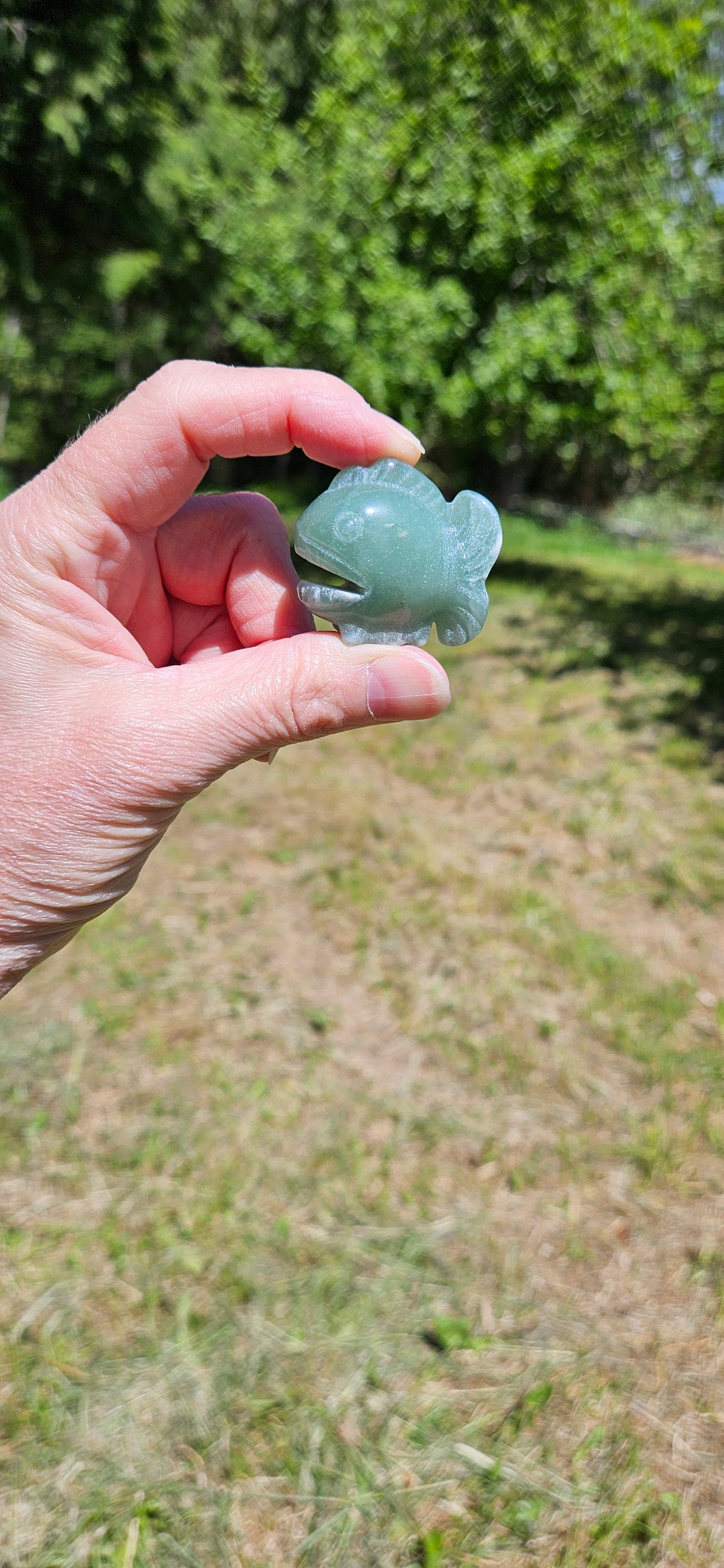 Green Aventurine Fish