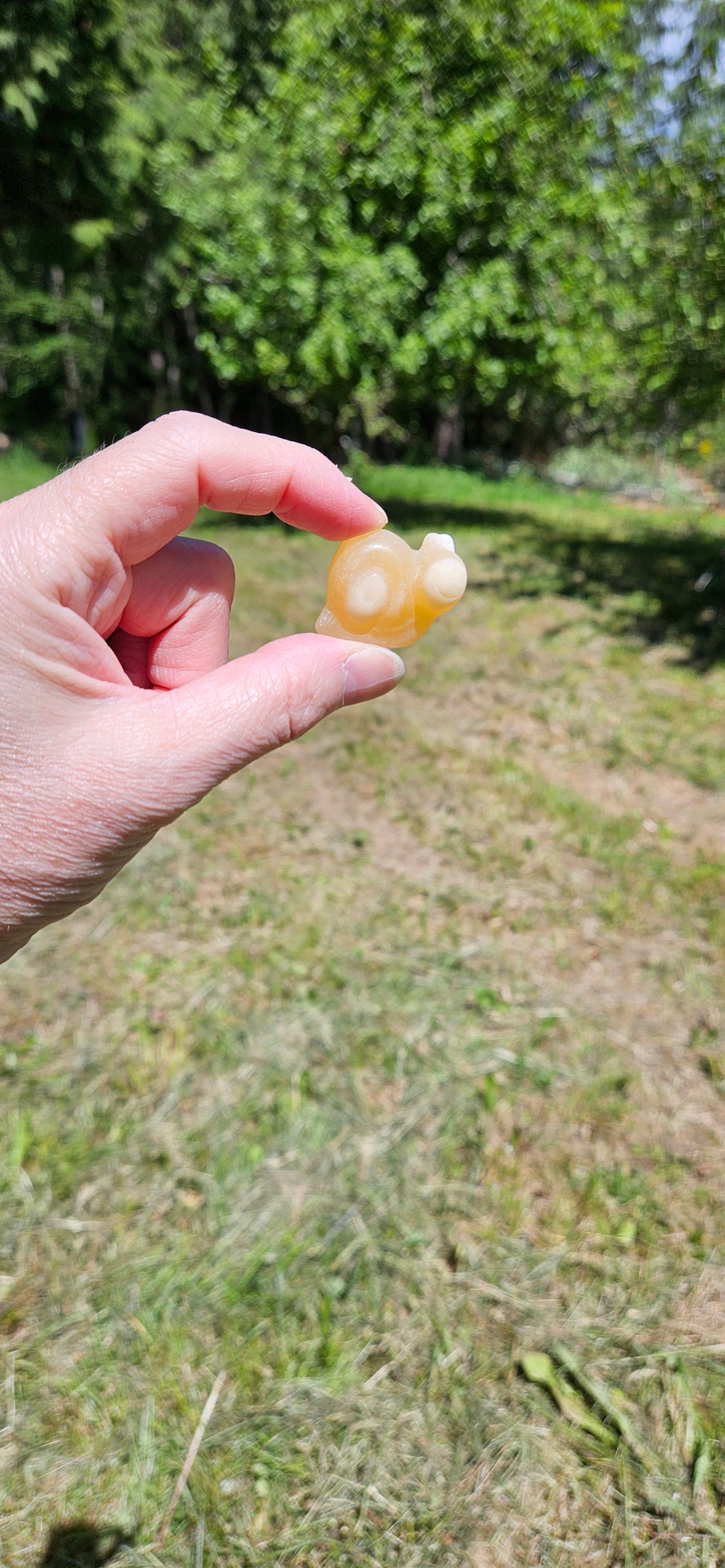 Orange Calcite Mini Snail