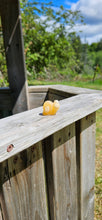 Load image into Gallery viewer, Orange Calcite Mini Snail
