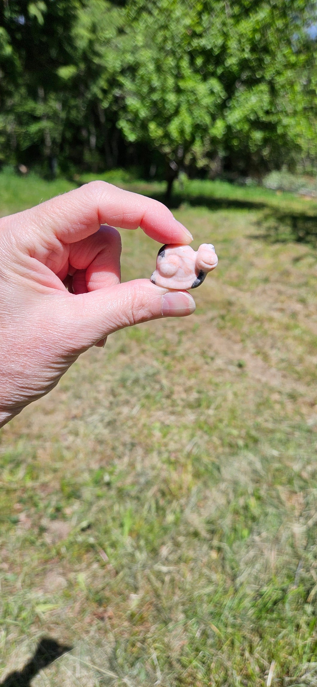 Pink Zebra Jasper Mini Snail