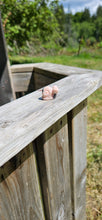 Load image into Gallery viewer, Pink Zebra Jasper Mini Snail
