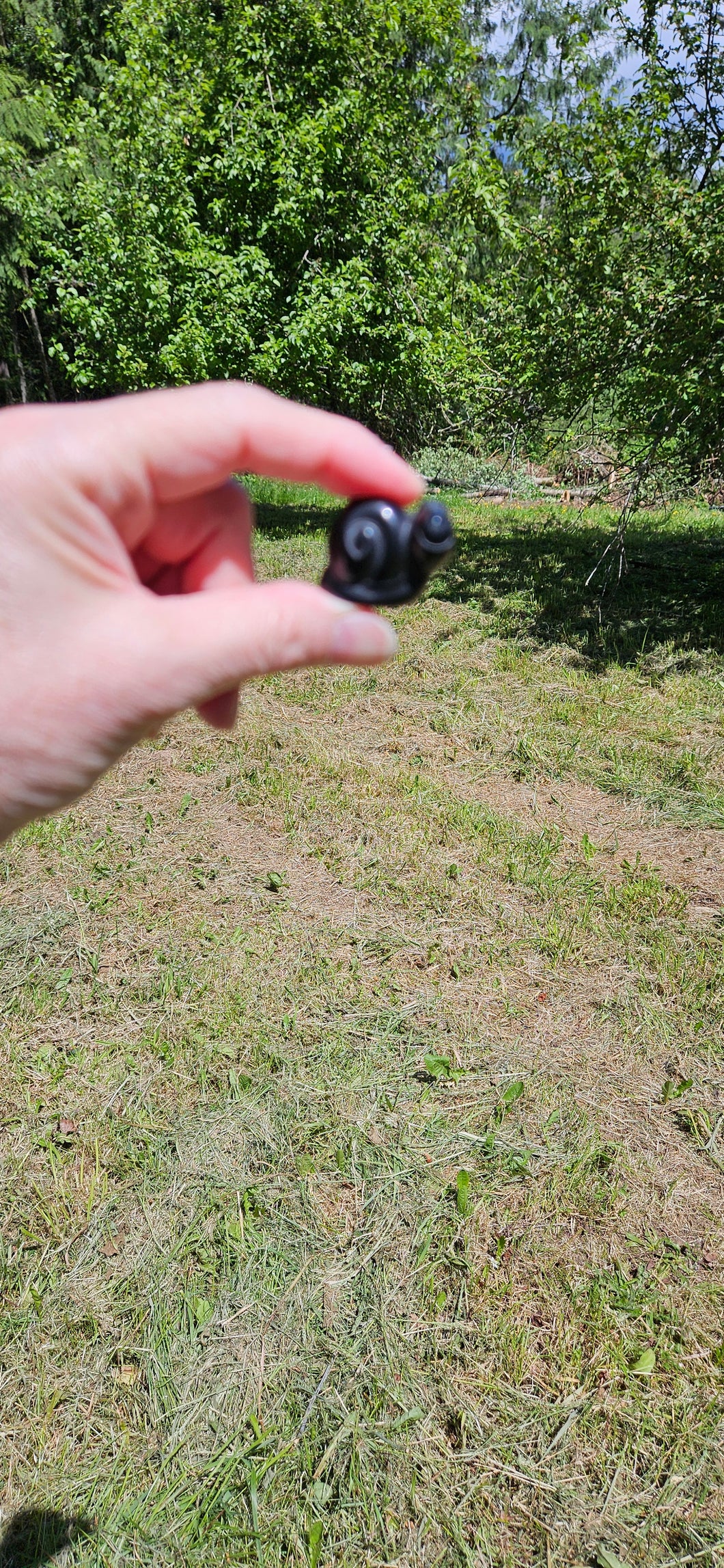 Black Obsidian Mini Snail