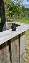 Load image into Gallery viewer, Black Obsidian Mini Snail
