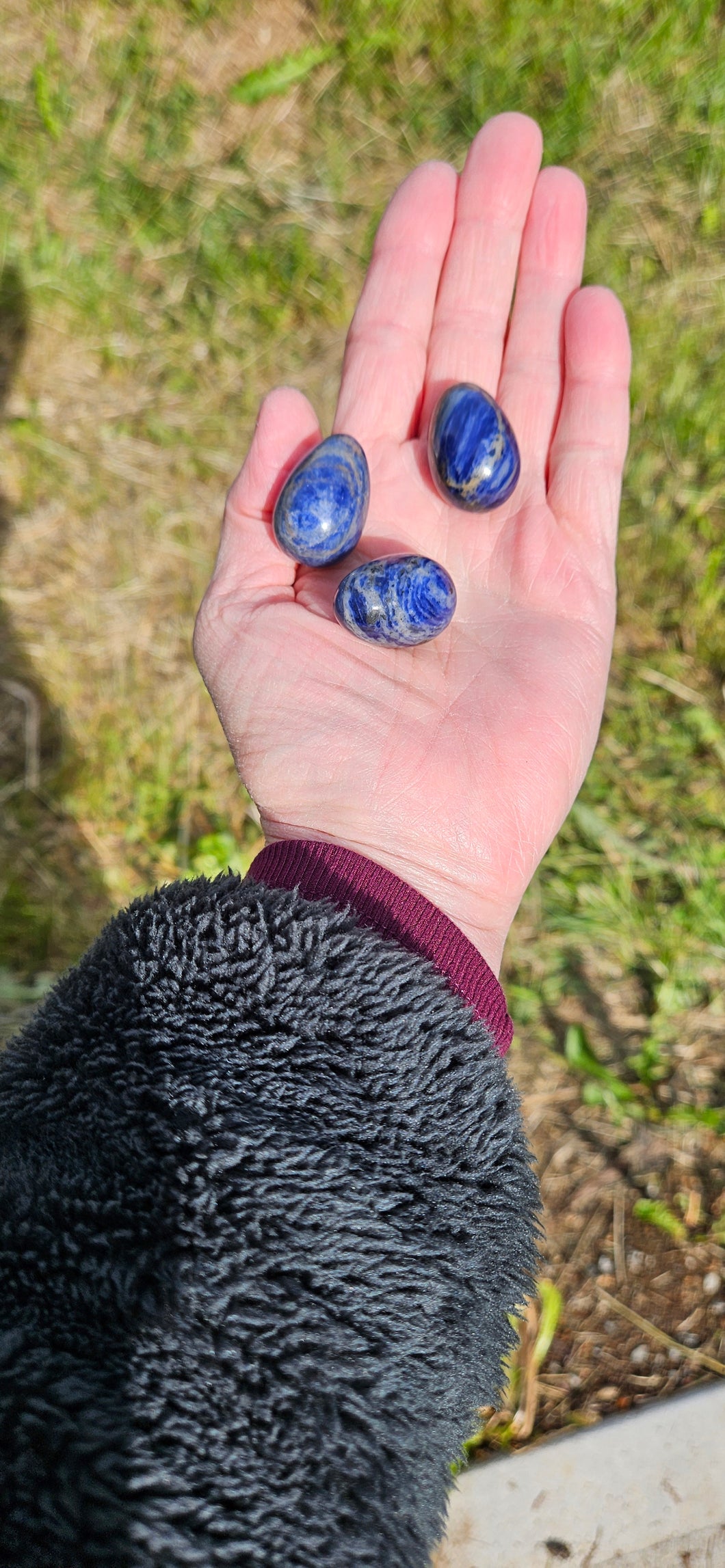 Sodalite Mini Egg