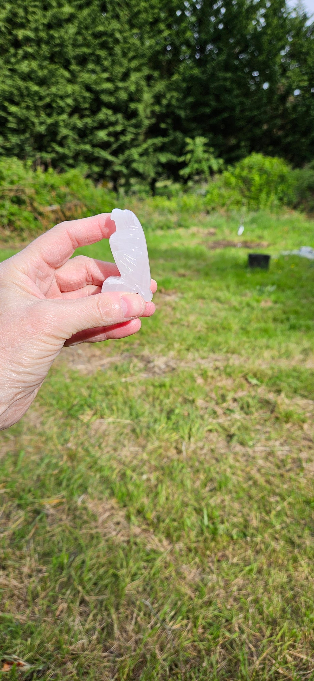 Mangano Calcite Bird