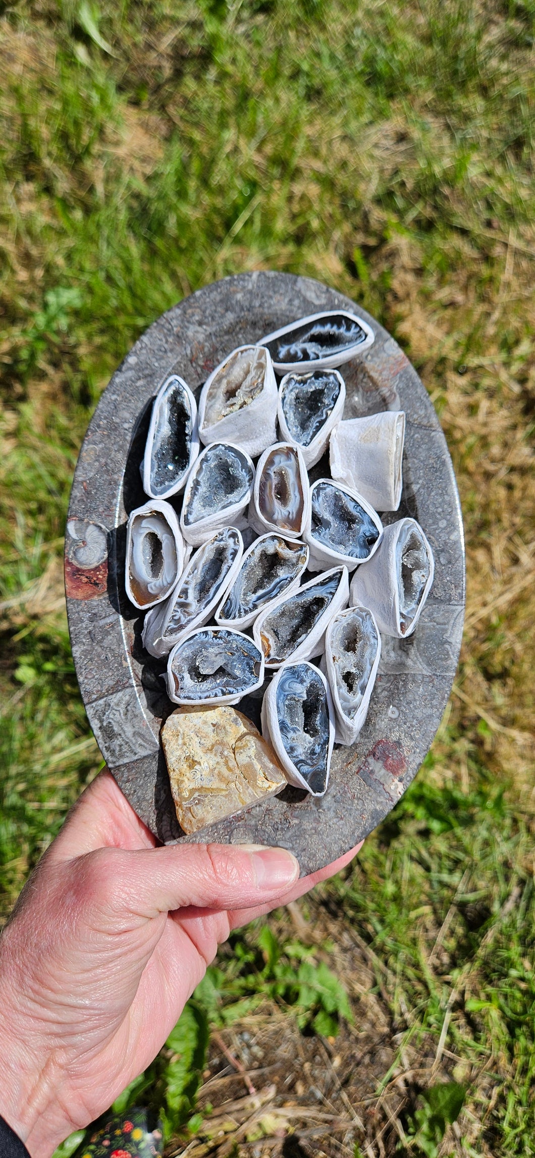 Oco Agate Geodes