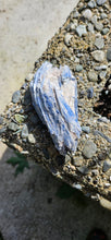 Load image into Gallery viewer, Blue Kyanite
