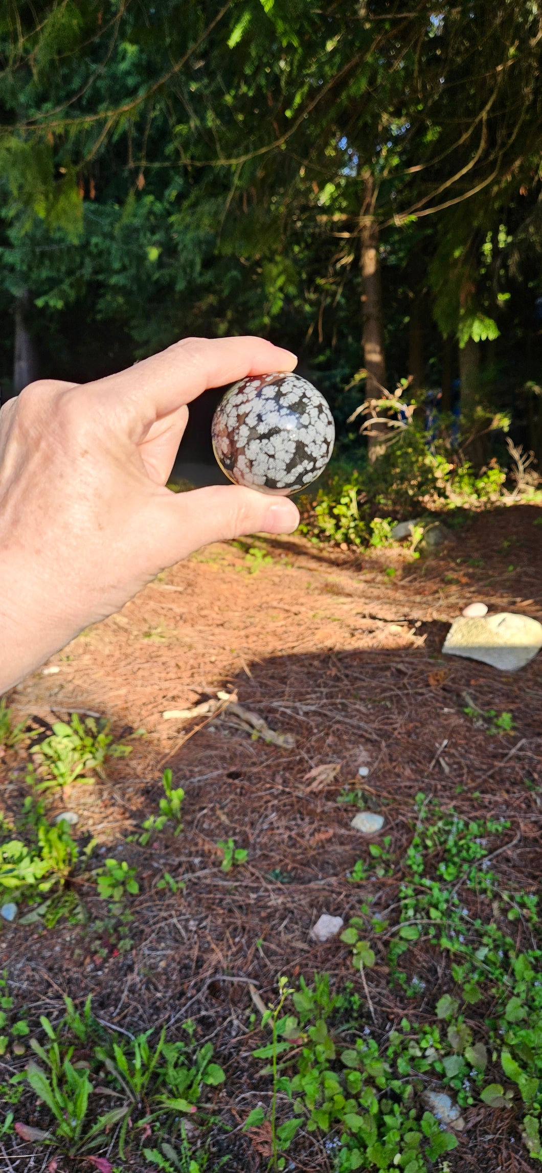 Snowflake Obsidian Sphere