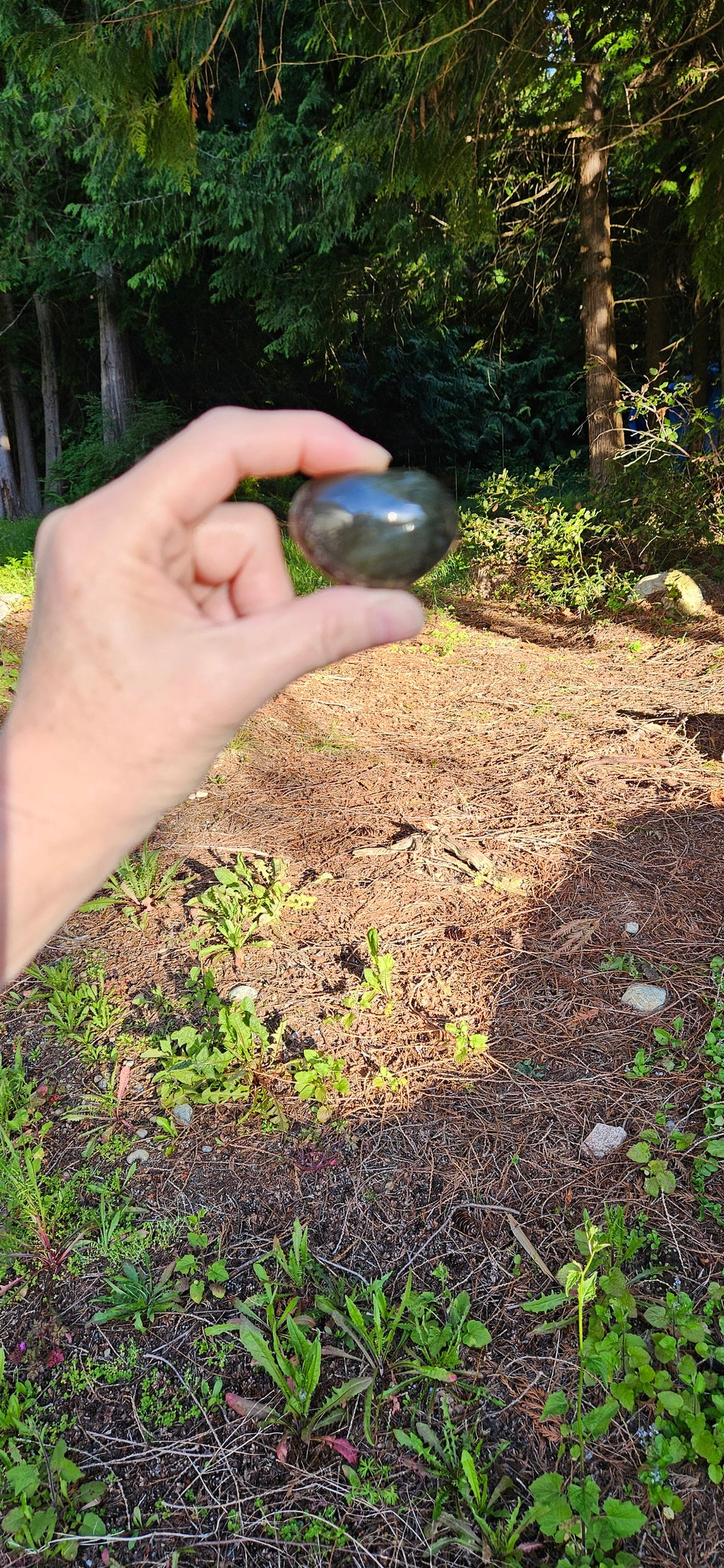 Labradorite Heart