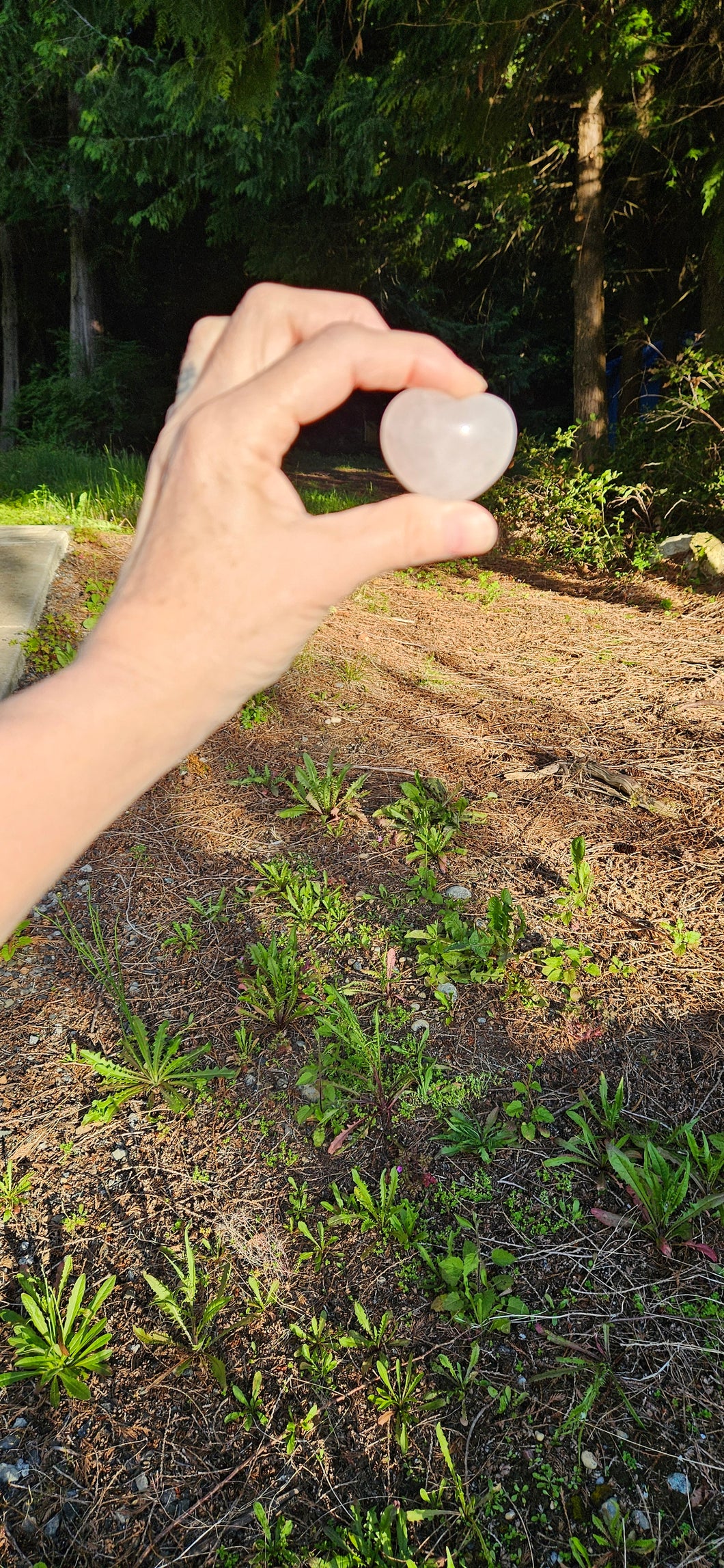 Aura Rose Quartz Heart