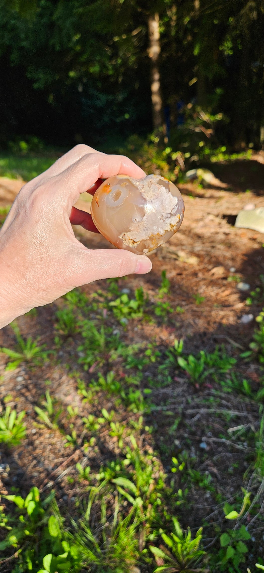 Flower Agate Heart