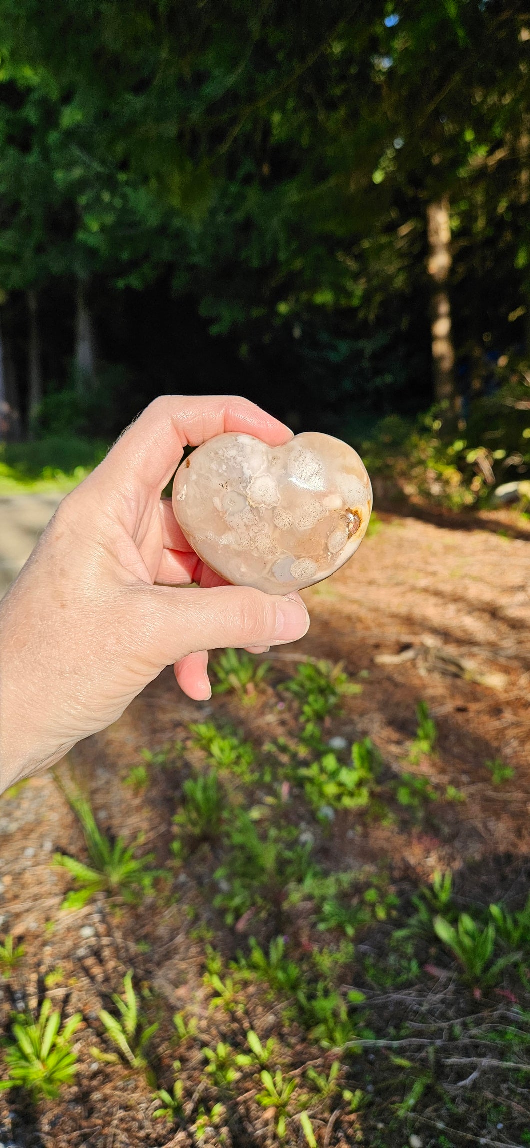 Flower Agate Heart