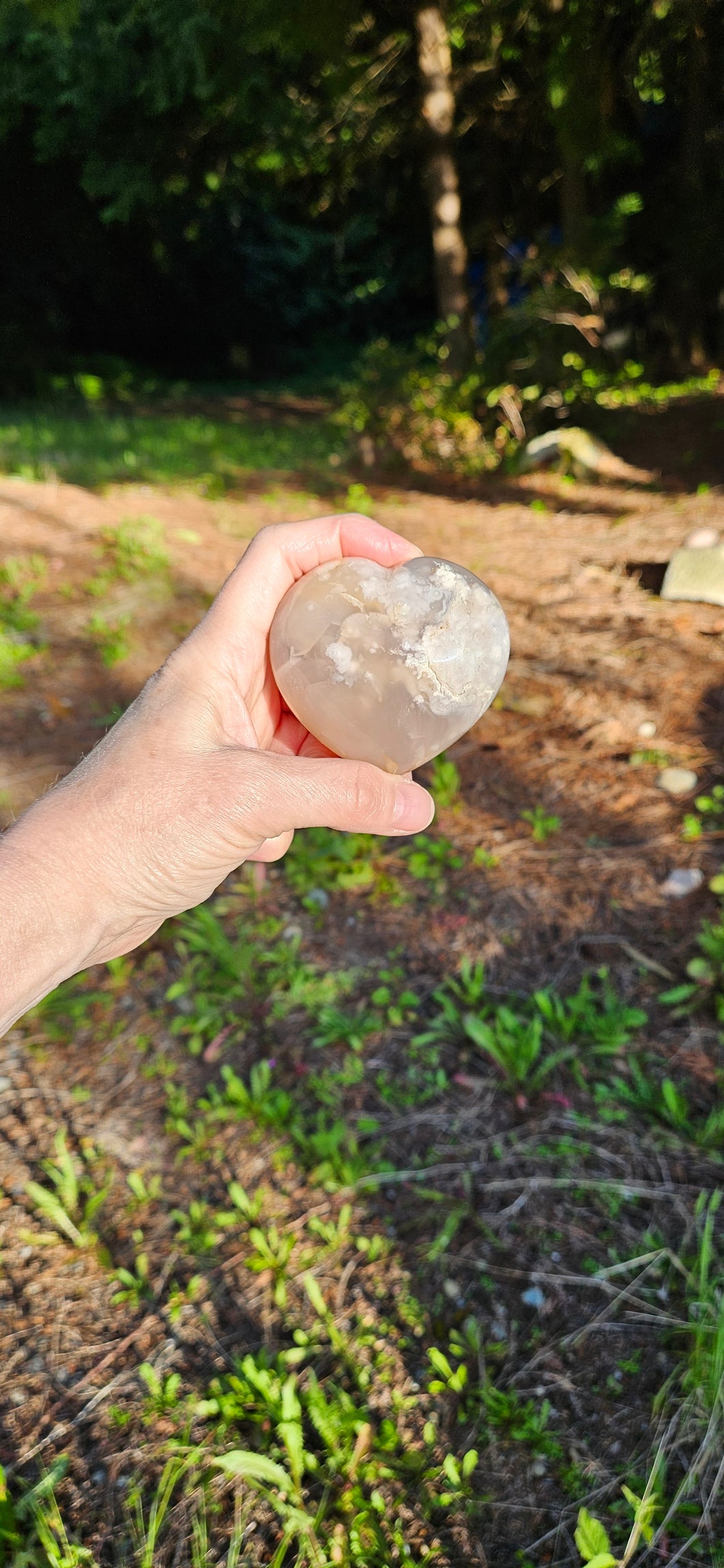 Flower Agate Heart