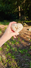 Load image into Gallery viewer, Flower Agate Heart
