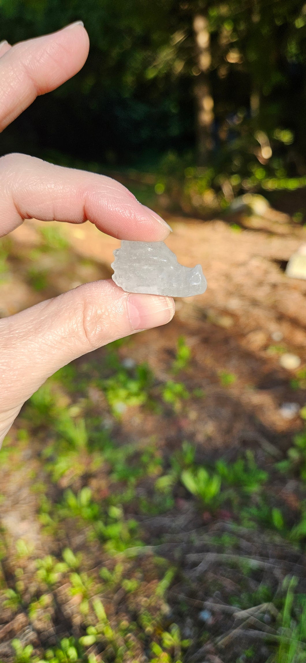 Clear Quartz Dragon Head