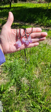 Load image into Gallery viewer, Raw Amethyst Necklace
