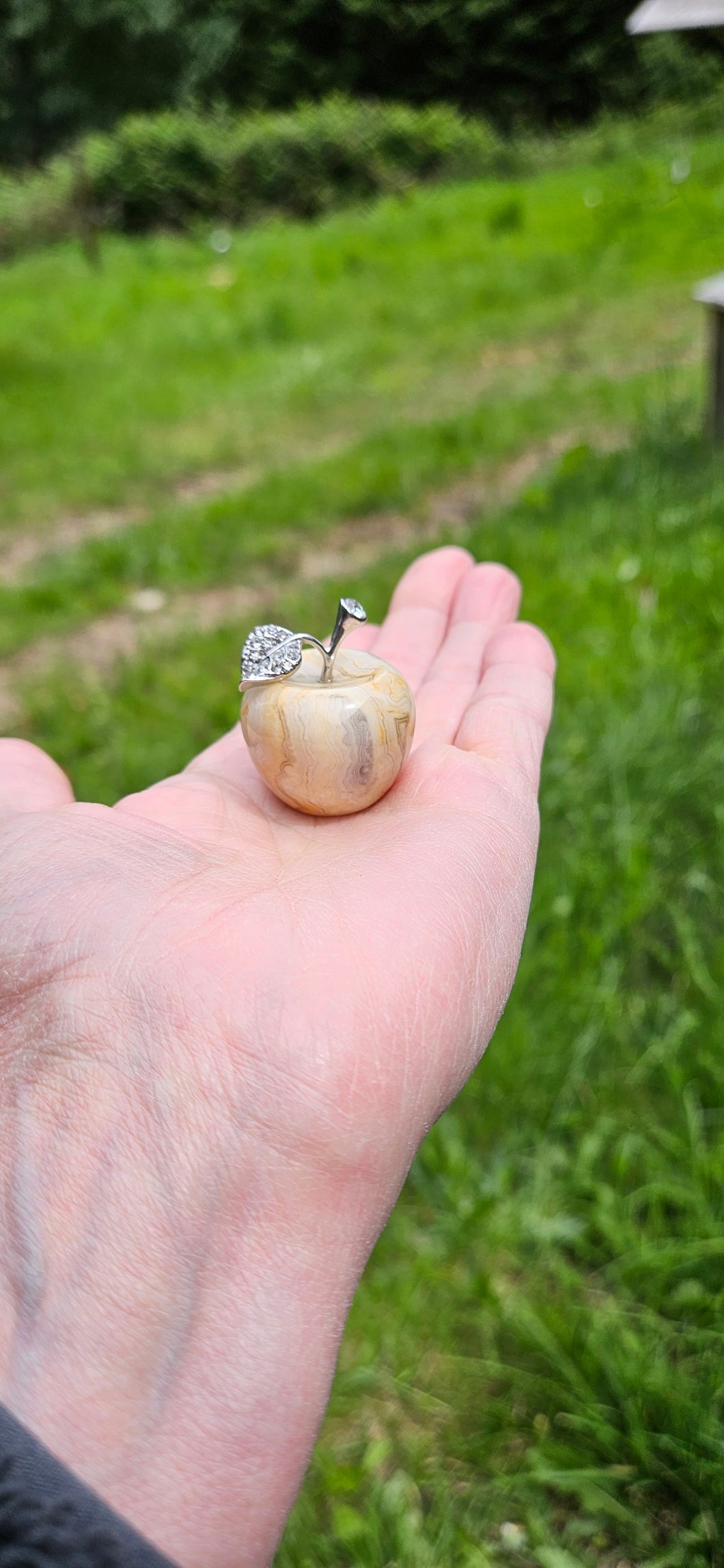 Crazy Lace Agate Small Apple