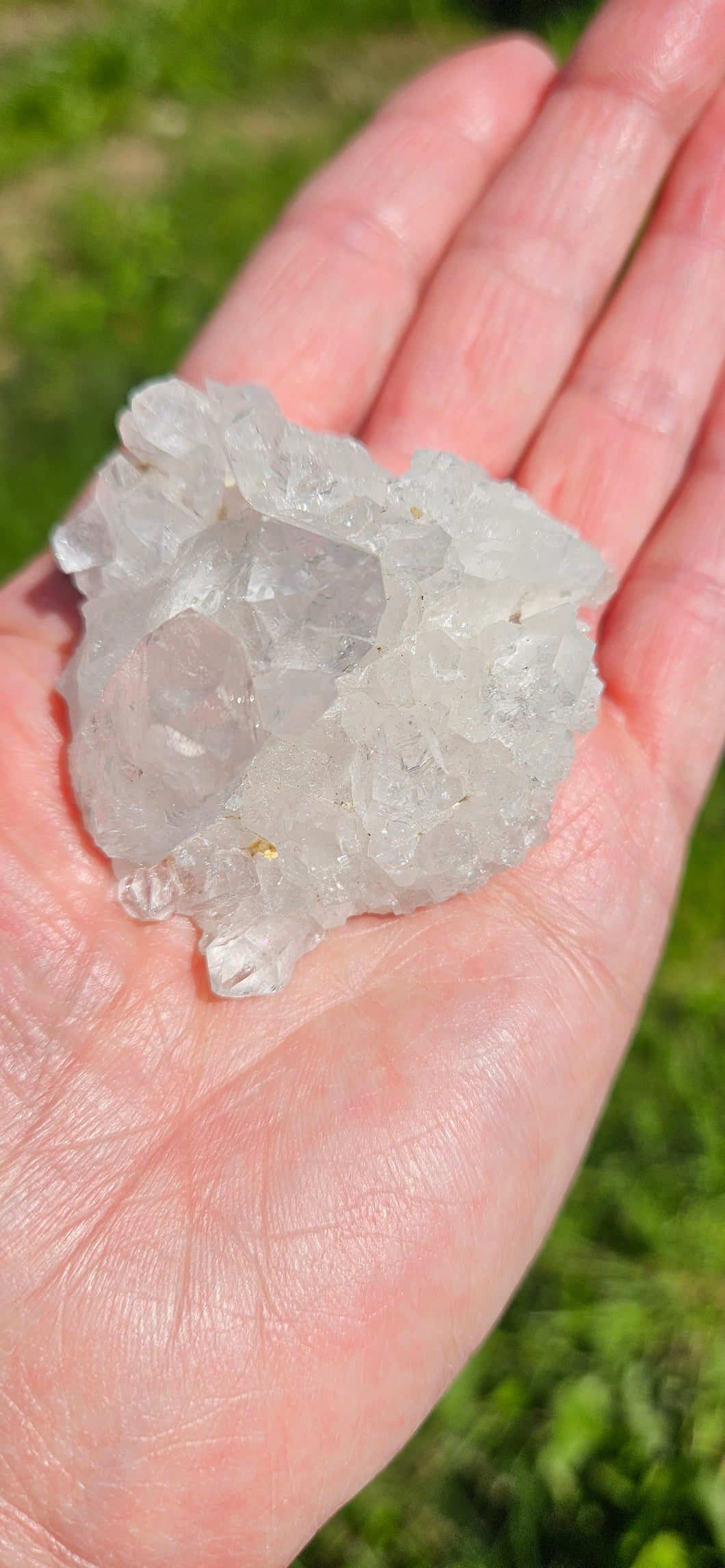 Clear Quartz Cluster