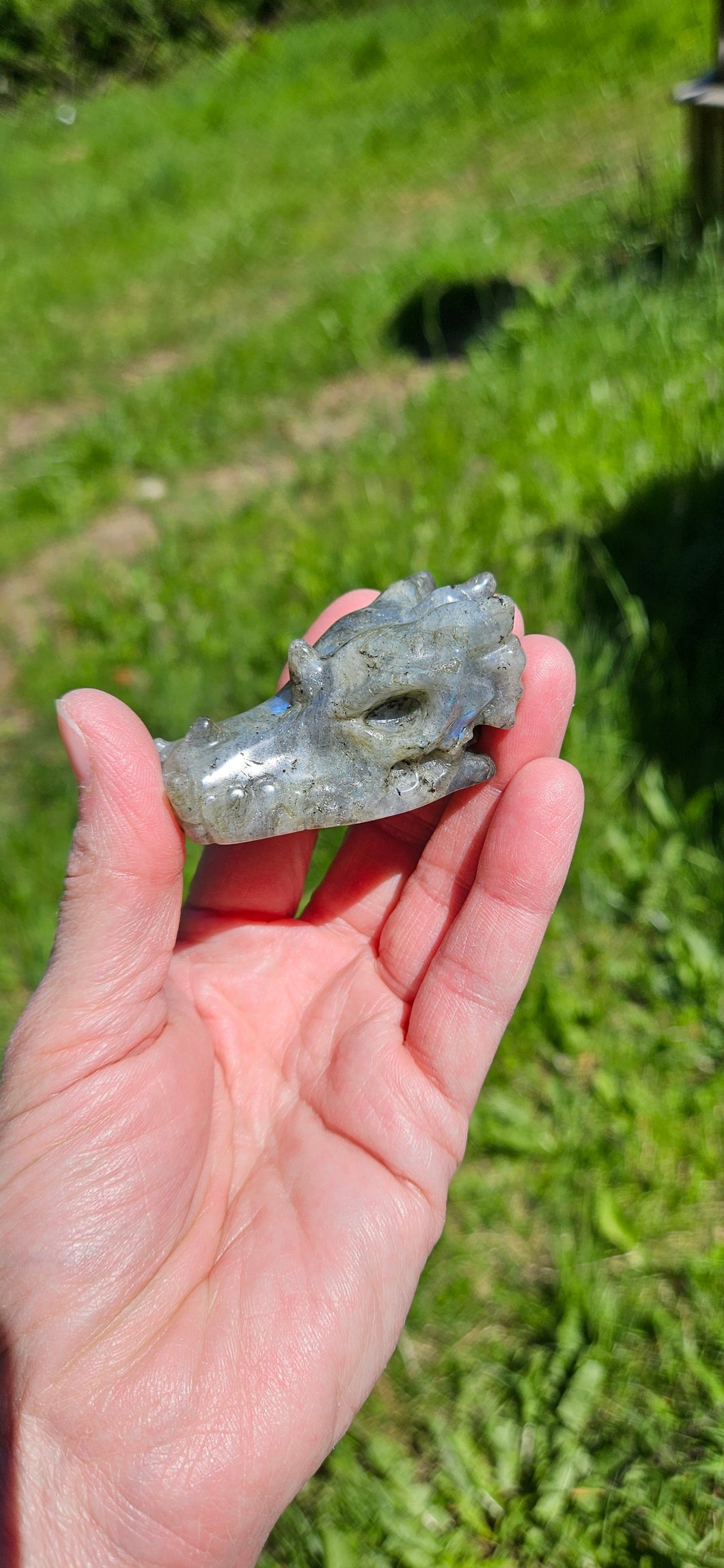 Labradorite Carved Dragon Head