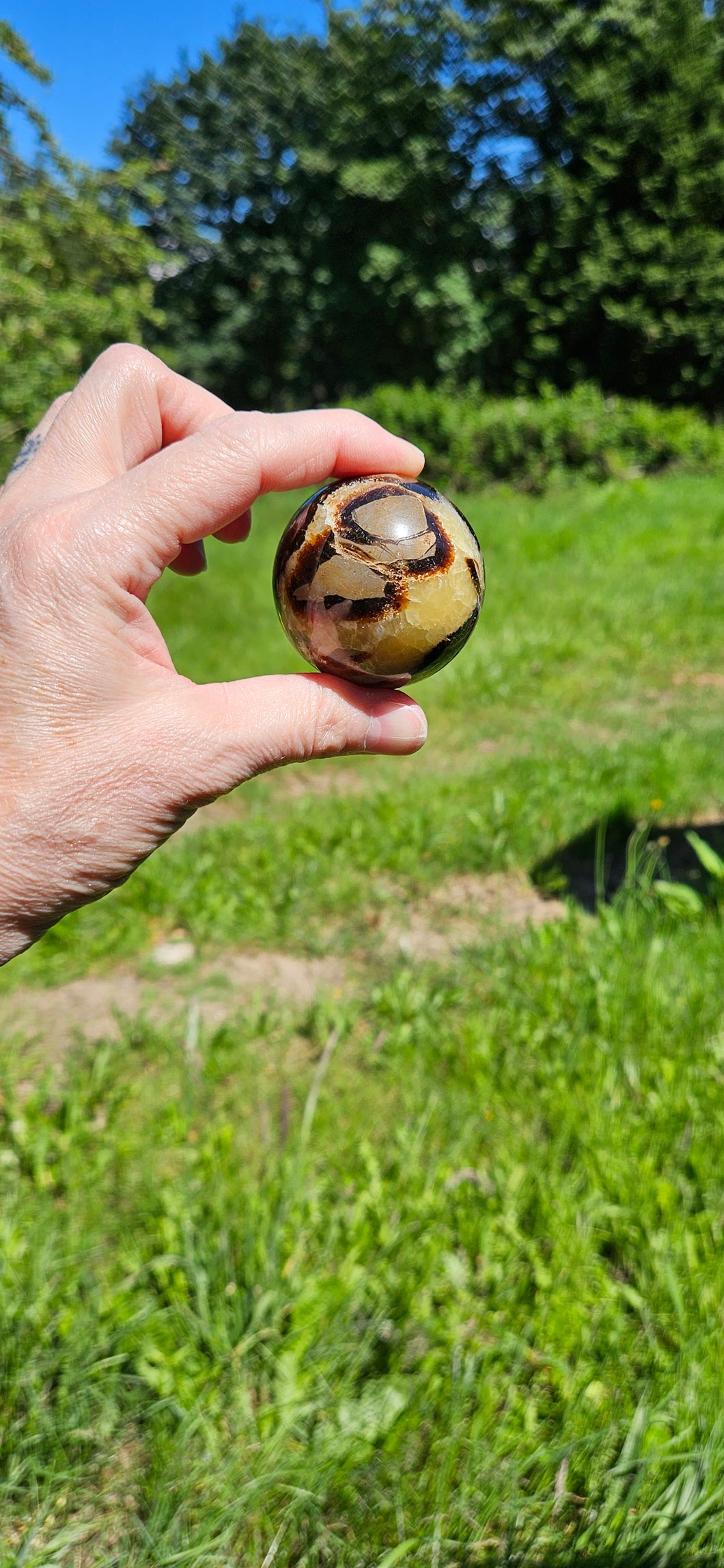 Septarian Sphere