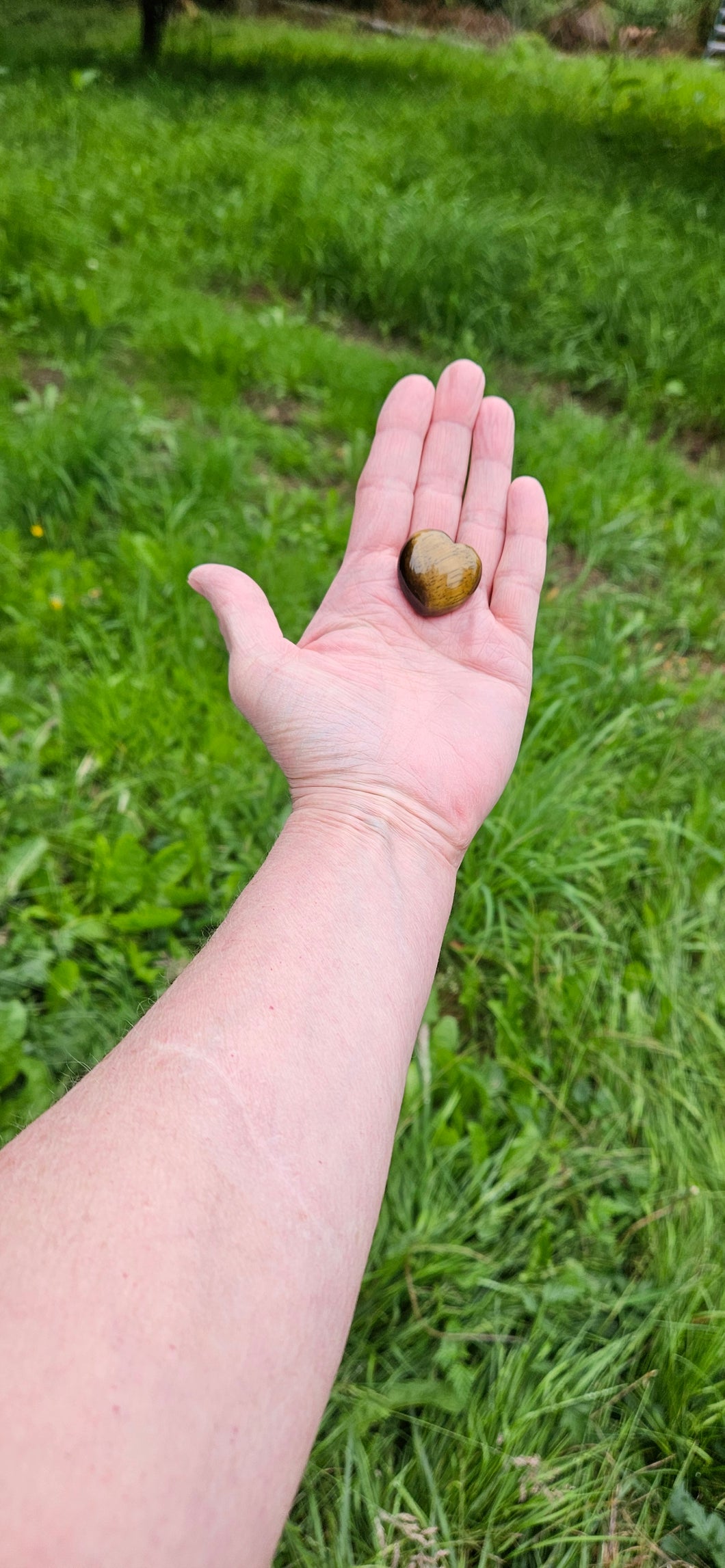 Tiger Eye Small Heart