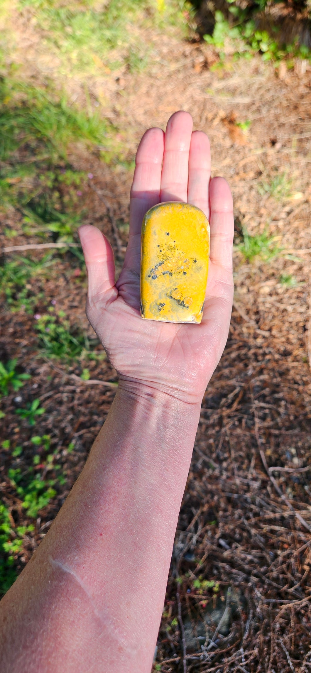 Bumblebee Jasper Freeform