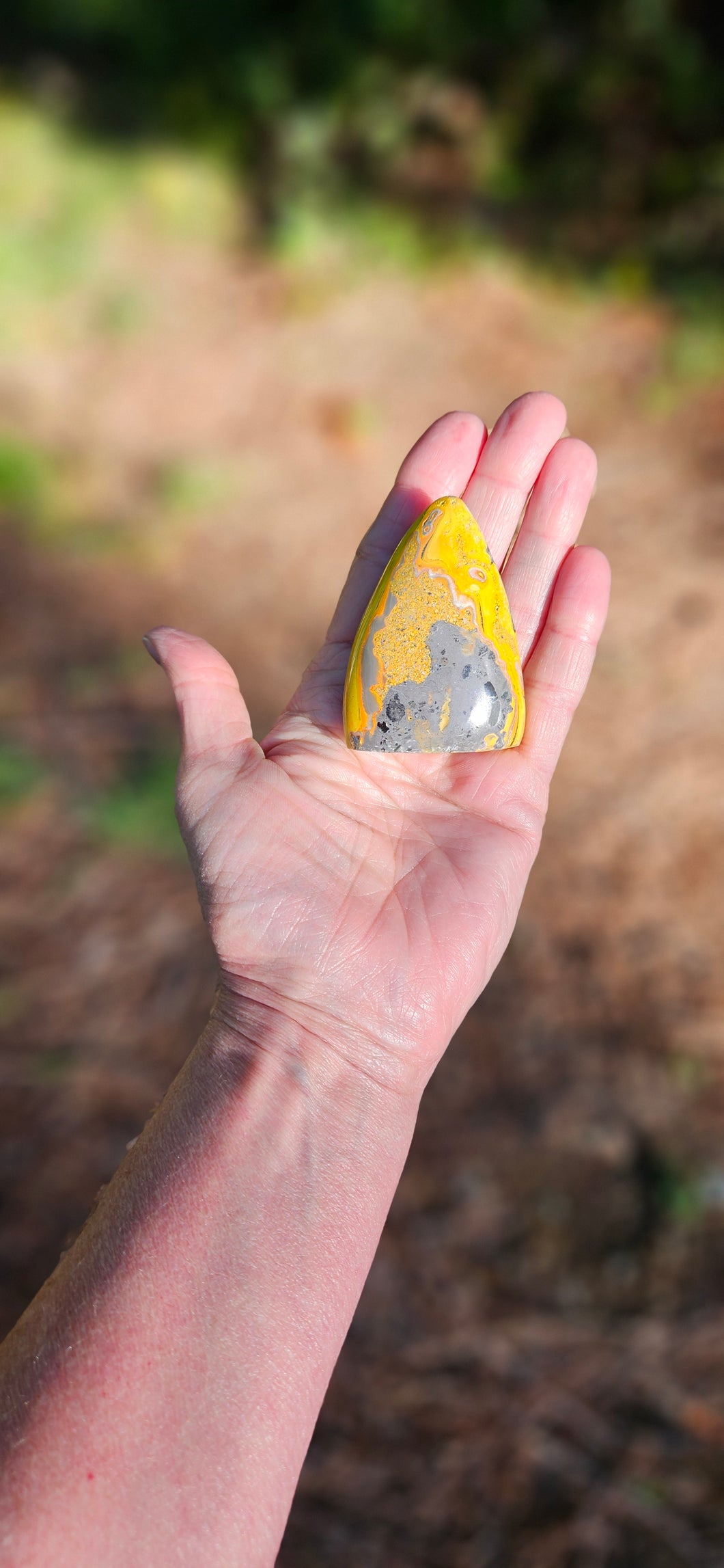 Bumblebee Jasper Freeform