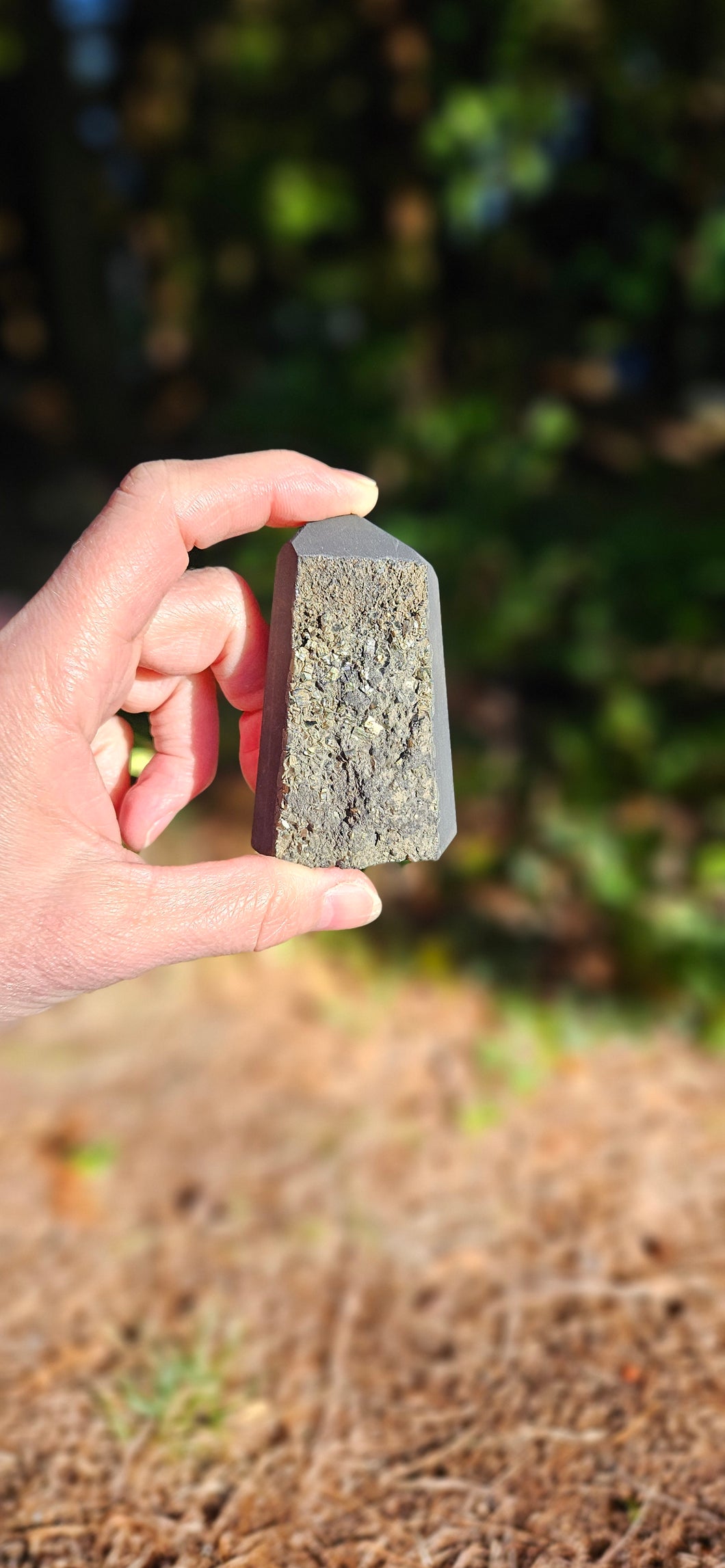 Shungite with Pyrite Point