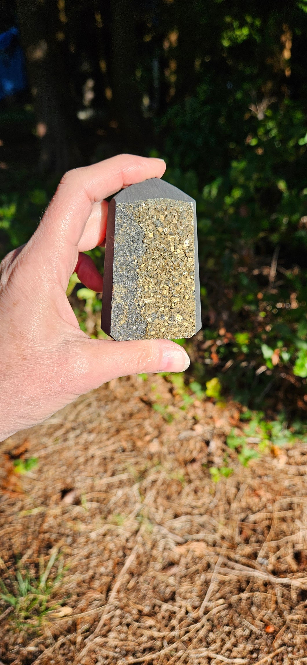 Shungite with Pyrite Point