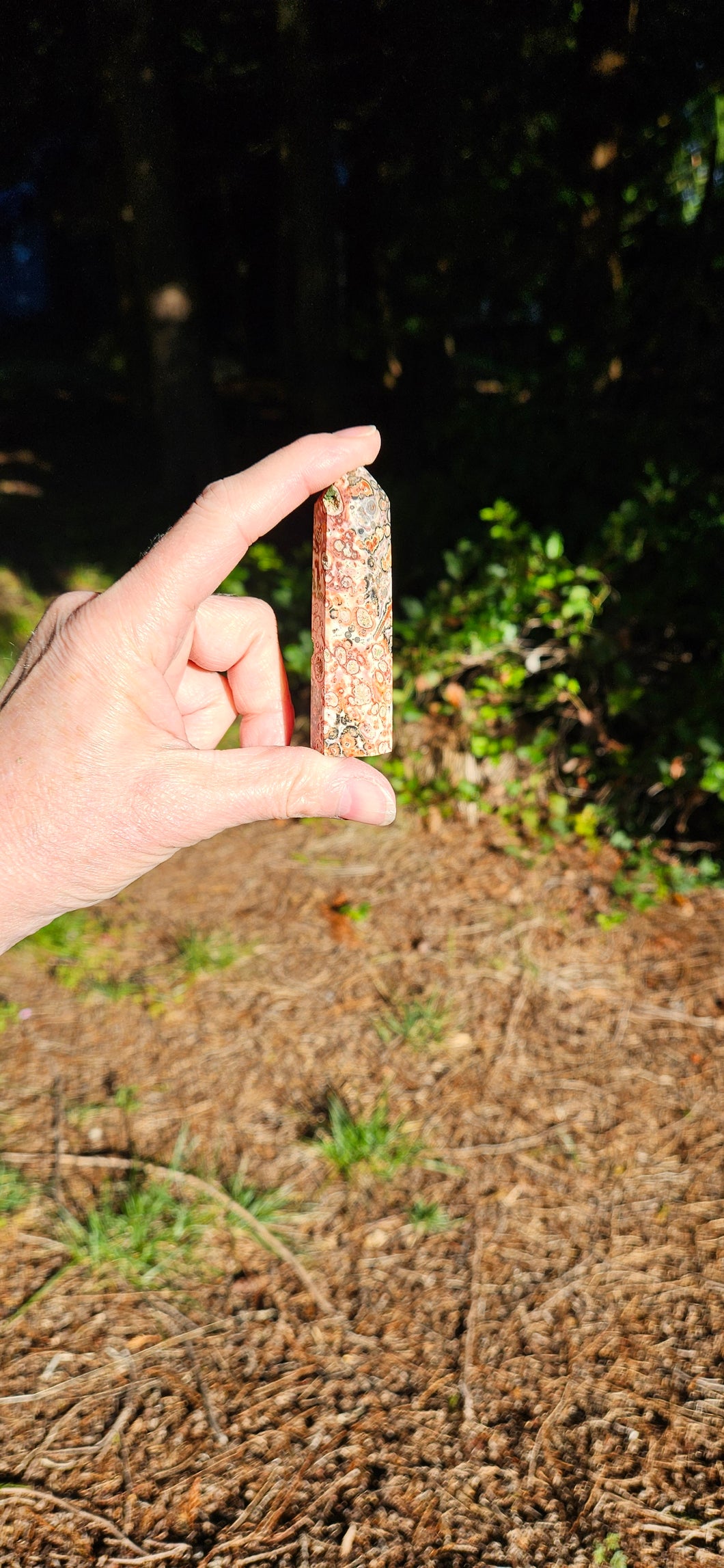 Leopard Skin Jasper Point