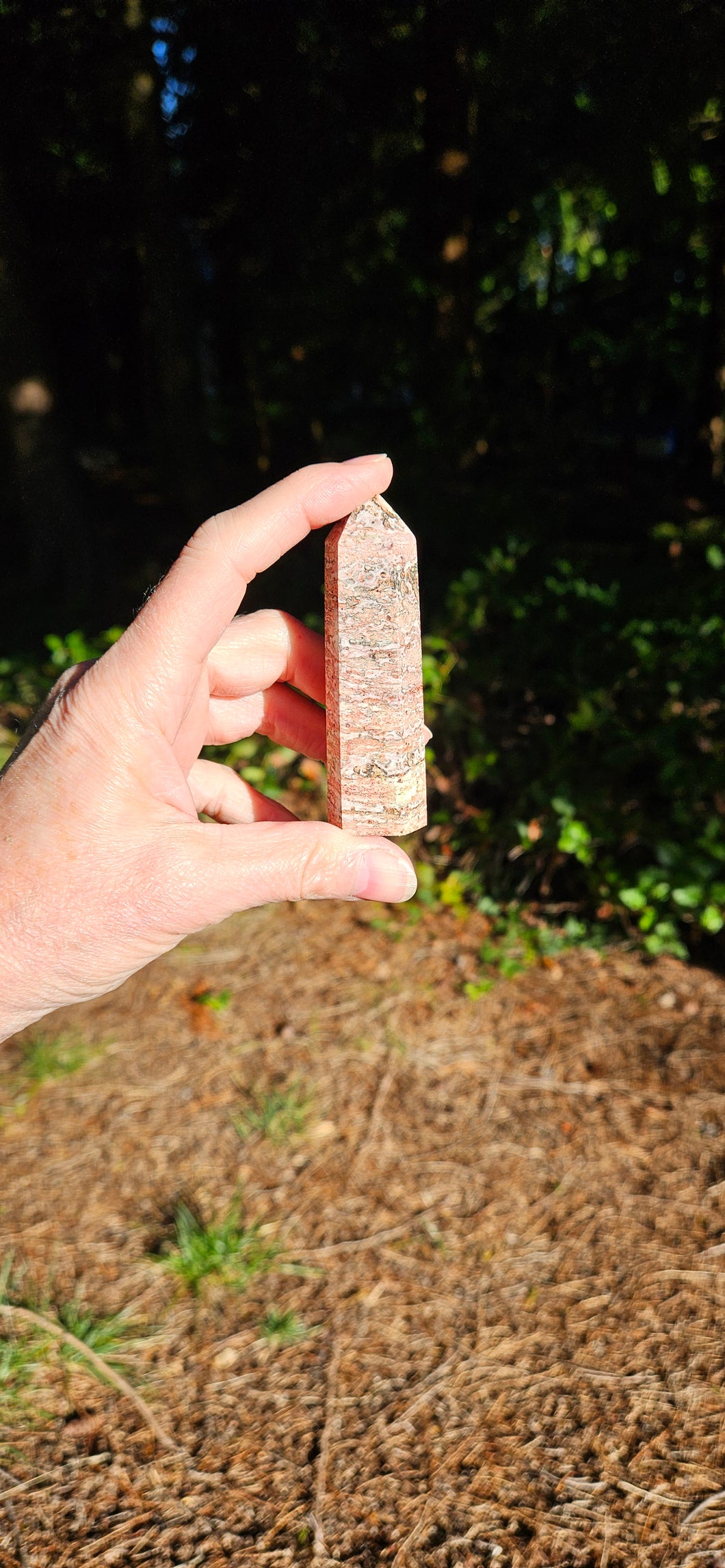 Leopard Skin Jasper Point