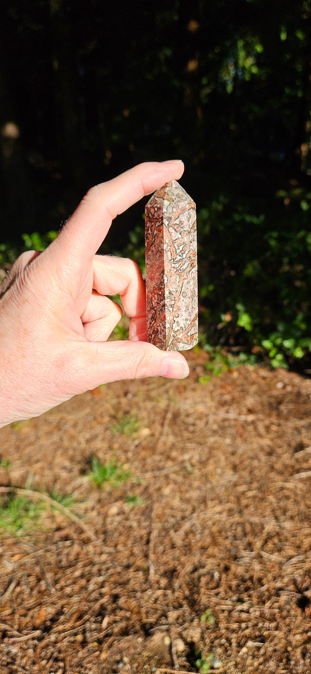 Leopard Skin Jasper Point