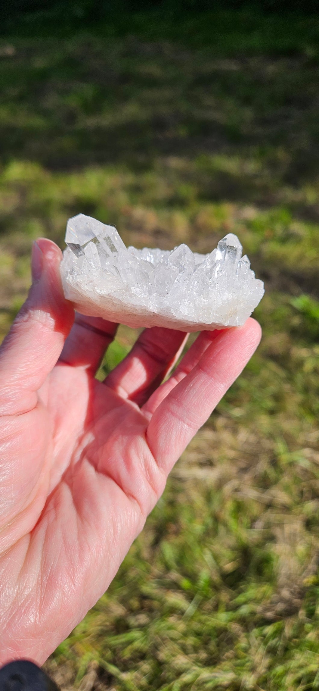 Clear Quartz Cluster