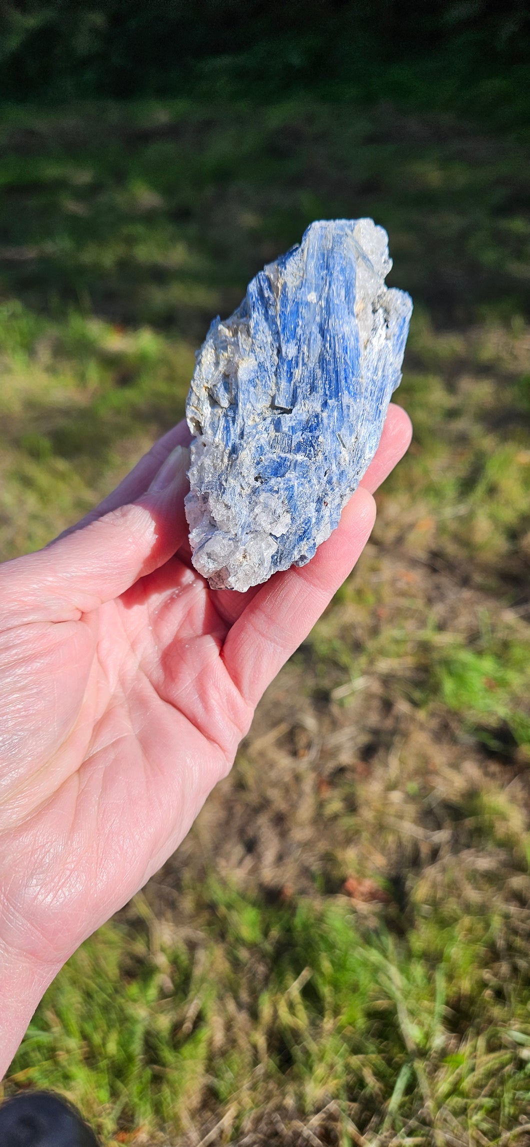 Blue Kyanite