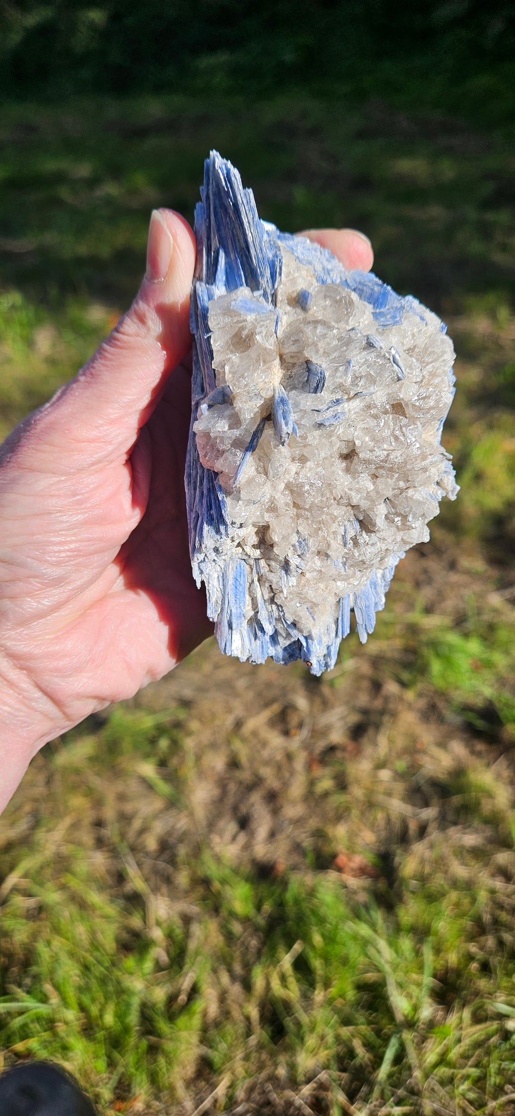 Blue Kyanite