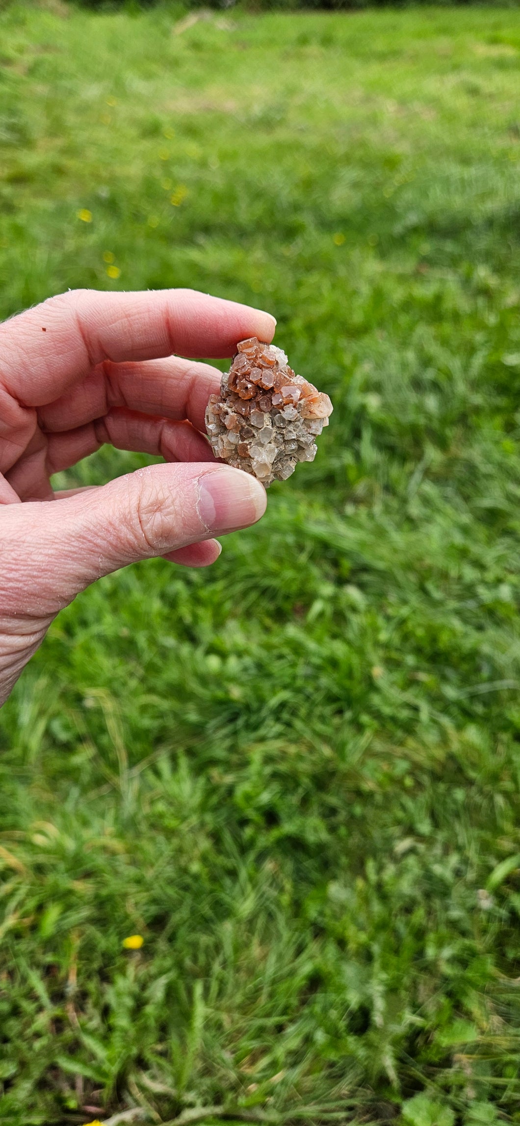 Aragonite Cluster