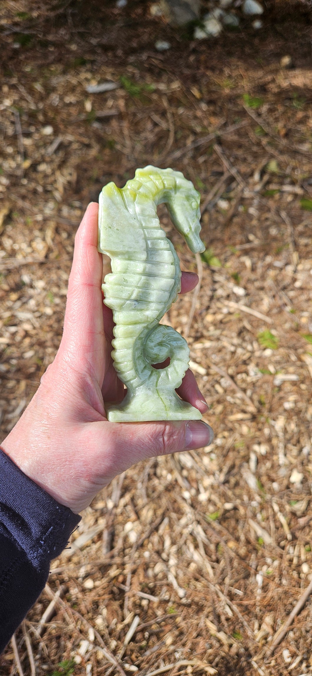 Serpentine Seahorse