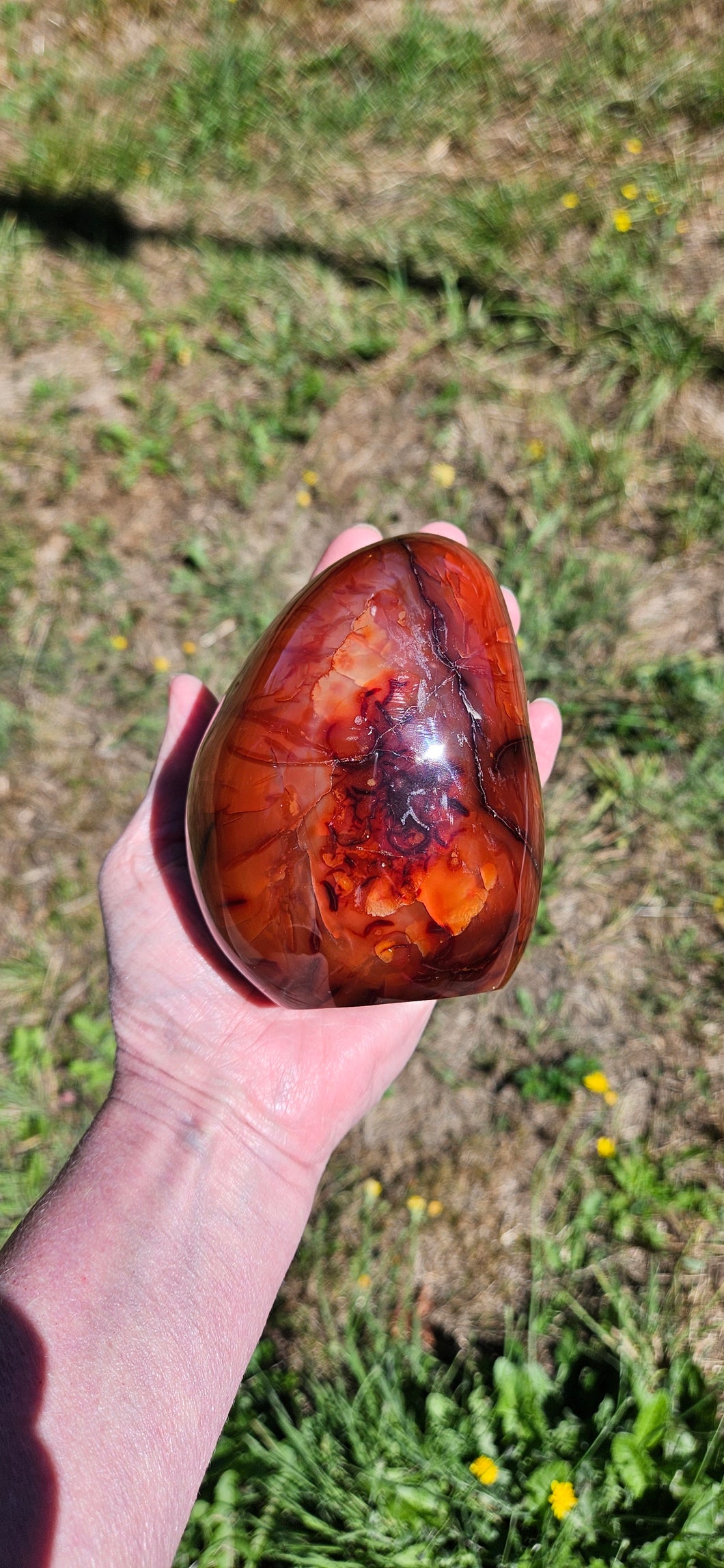 Carnelian Freeform